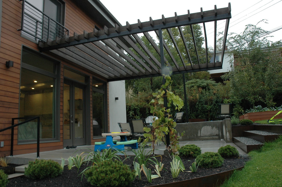 Idee per un patio o portico moderno dietro casa e di medie dimensioni con un focolare, pavimentazioni in cemento e una pergola