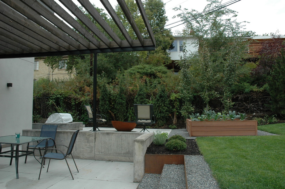 Photo of a medium sized modern back patio in Salt Lake City with a fire feature, concrete paving and a pergola.