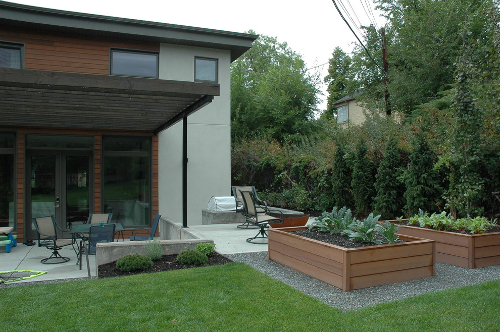 Ejemplo de patio minimalista de tamaño medio en patio trasero con brasero, adoquines de hormigón y pérgola