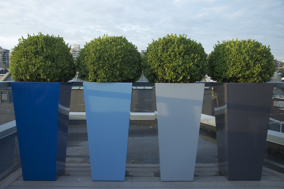 Inspiration for a mid-sized contemporary concrete paver patio container garden remodel in Vancouver with no cover