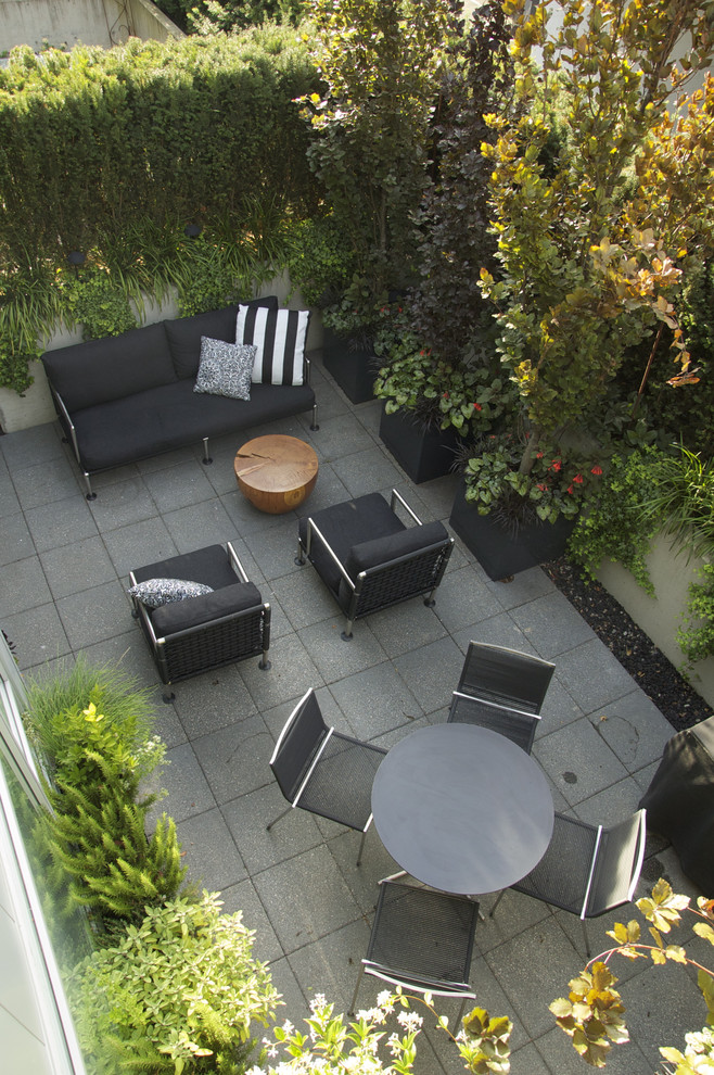 Immagine di un patio o portico minimal in cortile e di medie dimensioni con un giardino in vaso, pavimentazioni in cemento e nessuna copertura