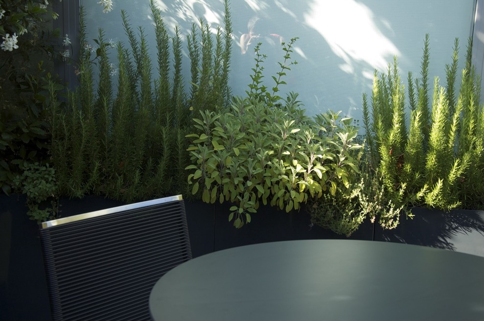 На фото: двор среднего размера на внутреннем дворе в современном стиле с растениями в контейнерах и мощением тротуарной плиткой без защиты от солнца