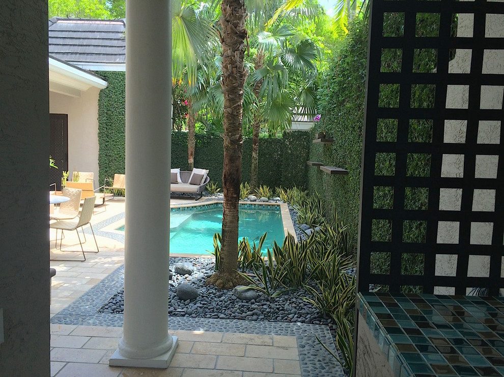 Coral Gables Townhouse Pool and Garden Remodel Transitional Patio