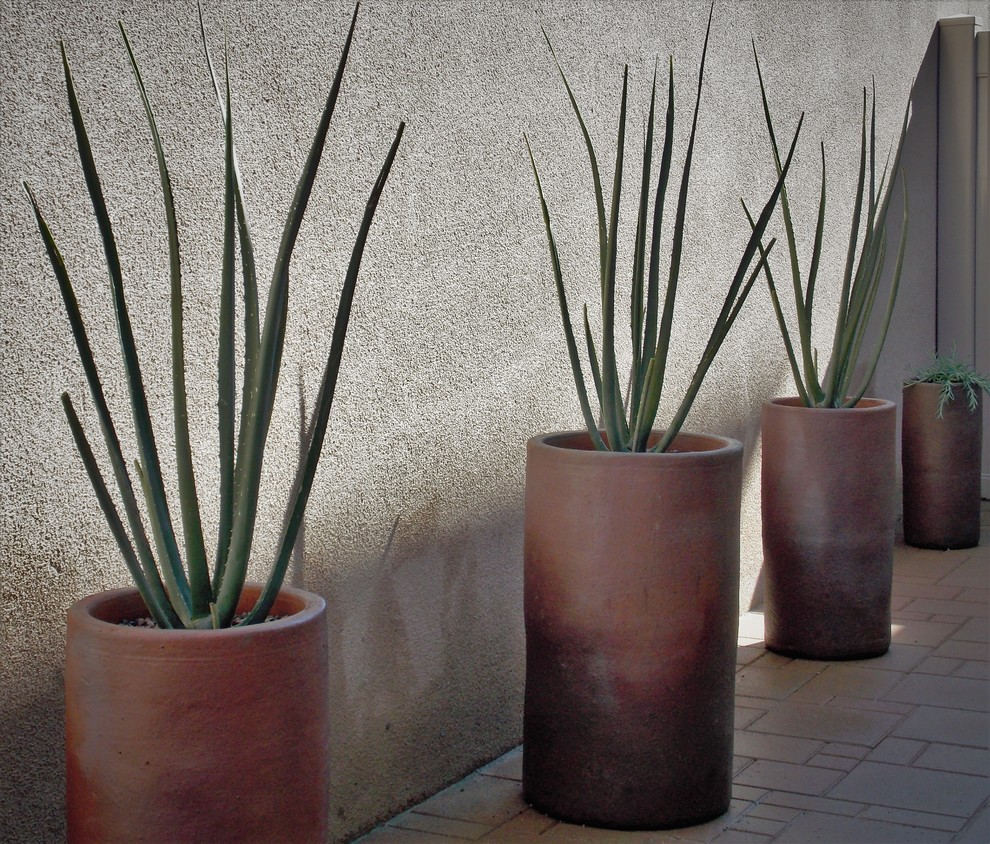 Inspiration for a 1960s courtyard concrete paver patio container garden remodel in Orange County