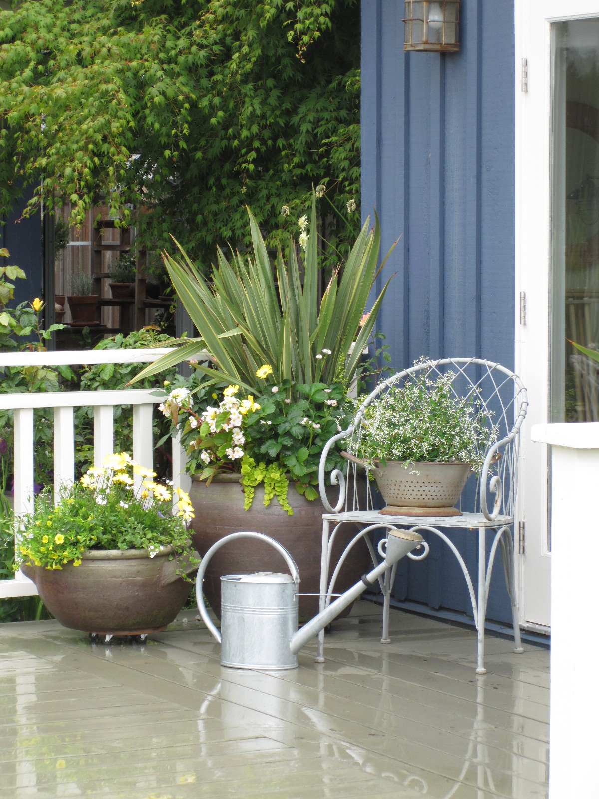 9 Ways To Keep Bugs Mosquitoes Away Outdoors Houzz Au