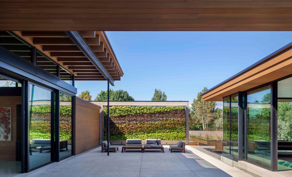 Пример оригинального дизайна: двор в современном стиле с покрытием из бетонных плит и вертикальным садом без защиты от солнца