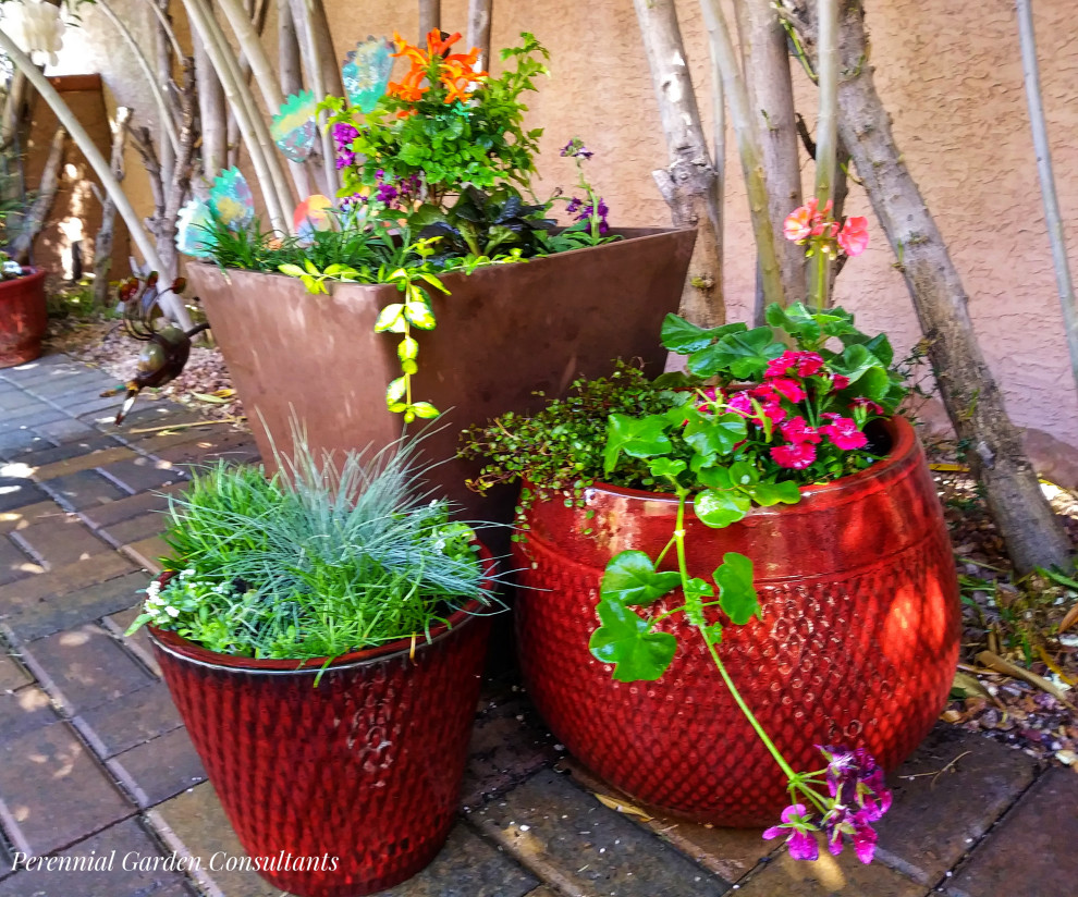 Idee per un patio o portico boho chic in cortile con un giardino in vaso