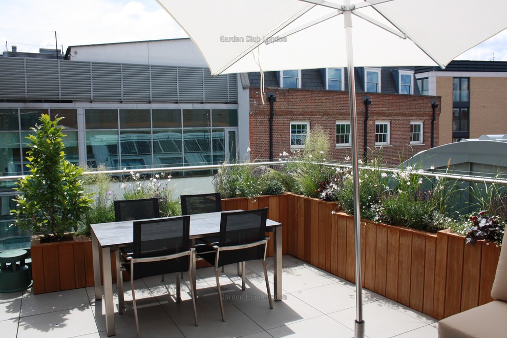 Small contemporary patio in London with a potted garden and natural stone paving.