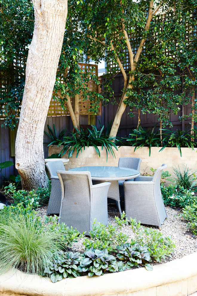 Imagen de patio actual de tamaño medio en patio trasero con jardín de macetas, adoquines de piedra natural y pérgola