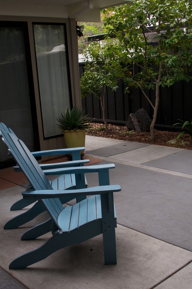 Cette image montre une terrasse latérale minimaliste de taille moyenne avec une dalle de béton.
