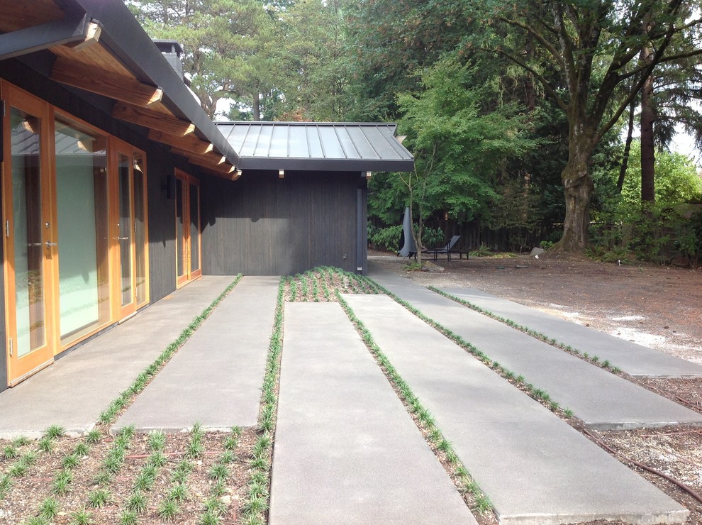 Стильный дизайн: двор среднего размера на заднем дворе в стиле модернизм с покрытием из декоративного бетона и навесом - последний тренд