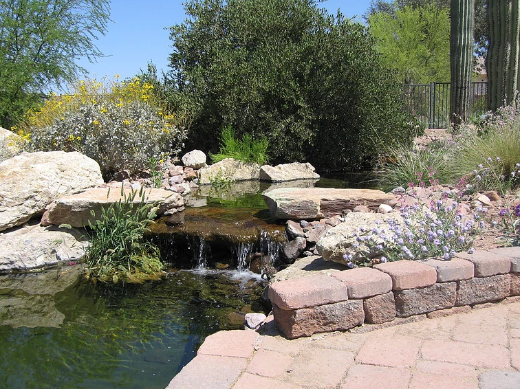 Modelo de patio de estilo americano de tamaño medio en patio trasero con fuente, adoquines de piedra natural y toldo