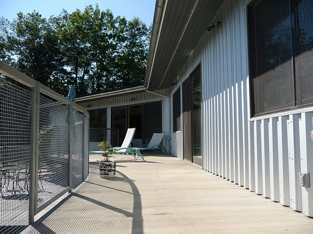 Immagine di un patio o portico moderno di medie dimensioni e dietro casa con lastre di cemento e nessuna copertura