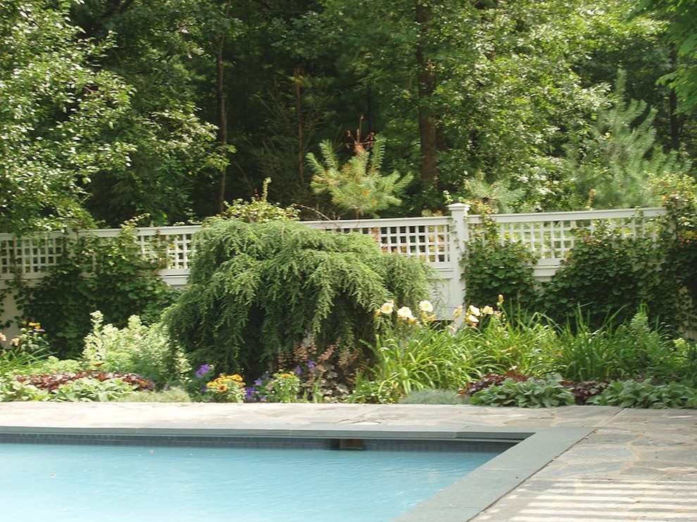 Cette image montre un mur végétal de terrasse arrière victorien de taille moyenne avec une dalle de béton et une pergola.