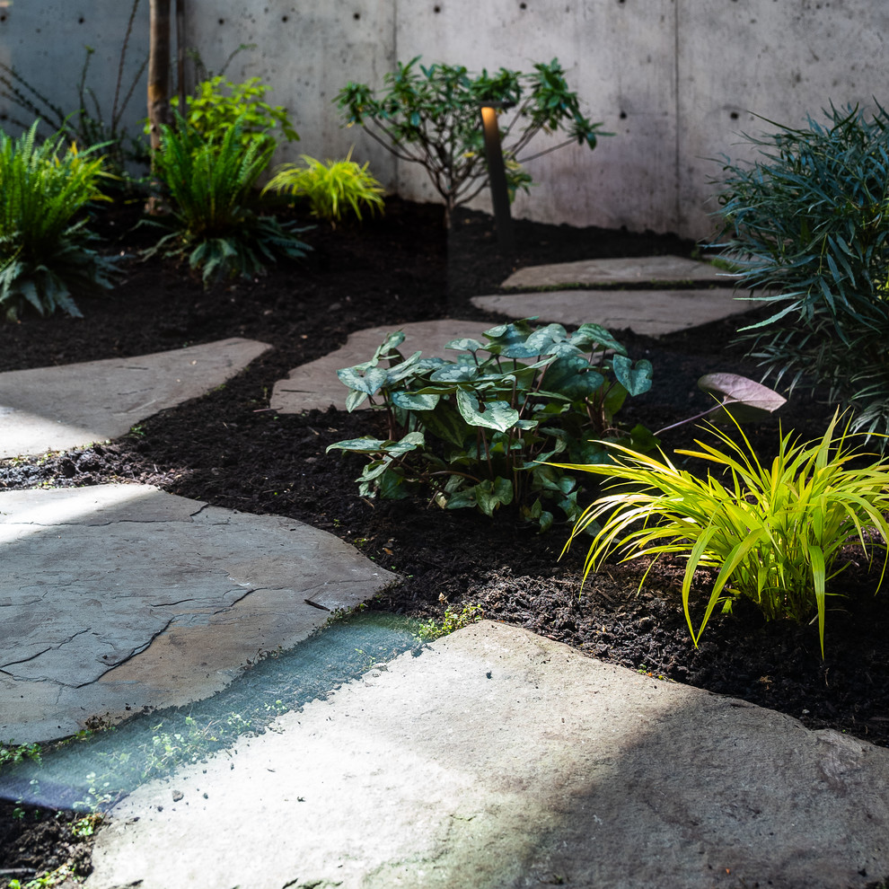 Immagine di un giardino minimal in cortile con pavimentazioni in pietra naturale