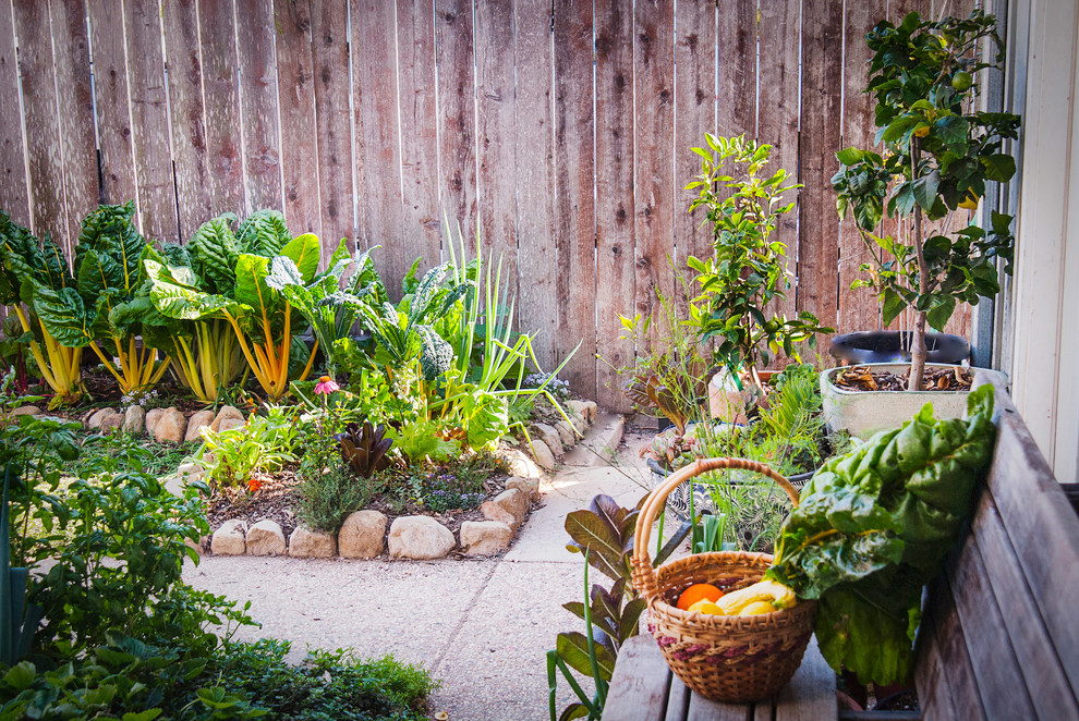 Стильный дизайн: огород во дворе на заднем дворе в стиле фьюжн - последний тренд