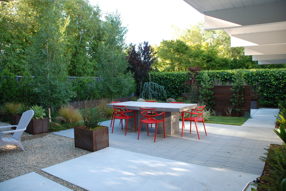 Пример оригинального дизайна: двор на заднем дворе в современном стиле с мощением тротуарной плиткой