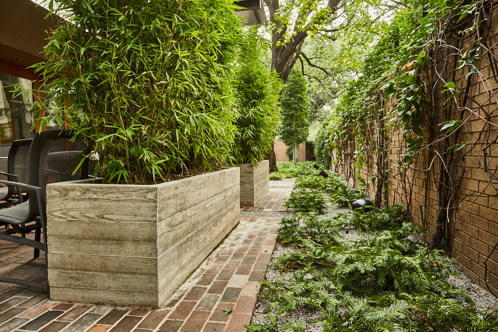 Imagen de patio contemporáneo con jardín de macetas