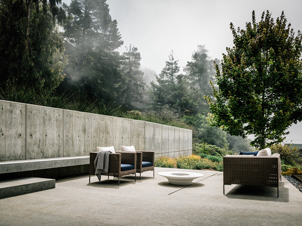Example of a mid-sized trendy courtyard concrete patio design in San Francisco with no cover