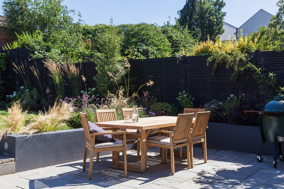 Стильный дизайн: двор на заднем дворе в современном стиле с растениями в контейнерах без защиты от солнца - последний тренд