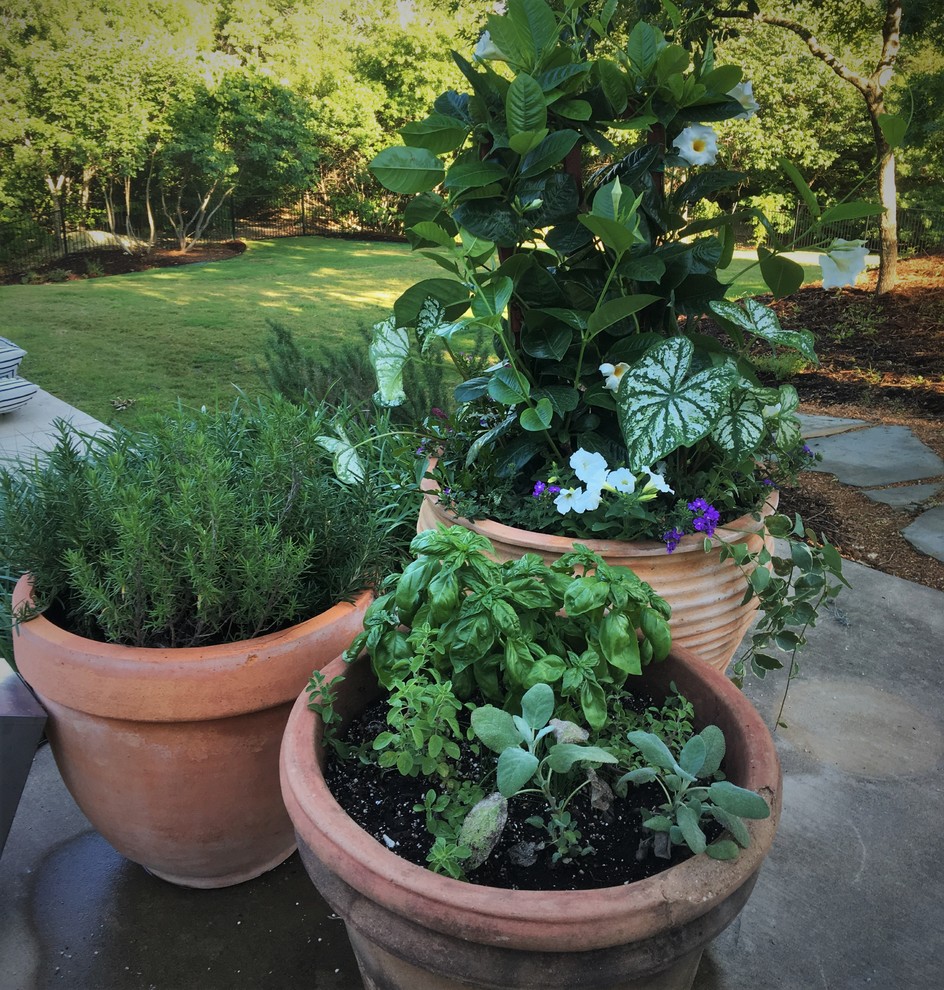 На фото: участок и сад на заднем дворе в стиле кантри с растениями в контейнерах с
