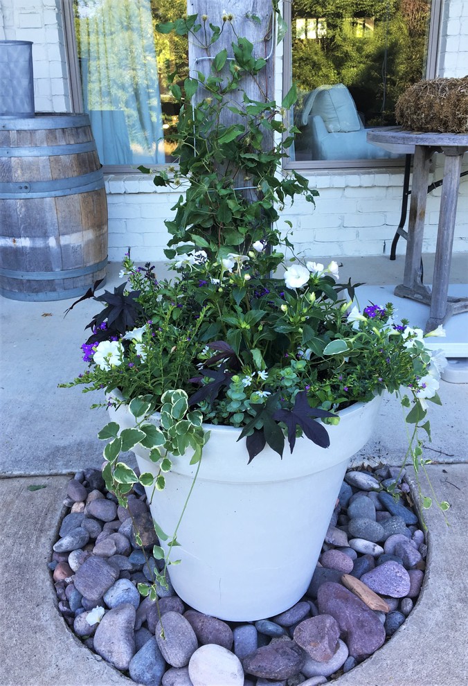 Immagine di un patio o portico country dietro casa con un giardino in vaso e lastre di cemento