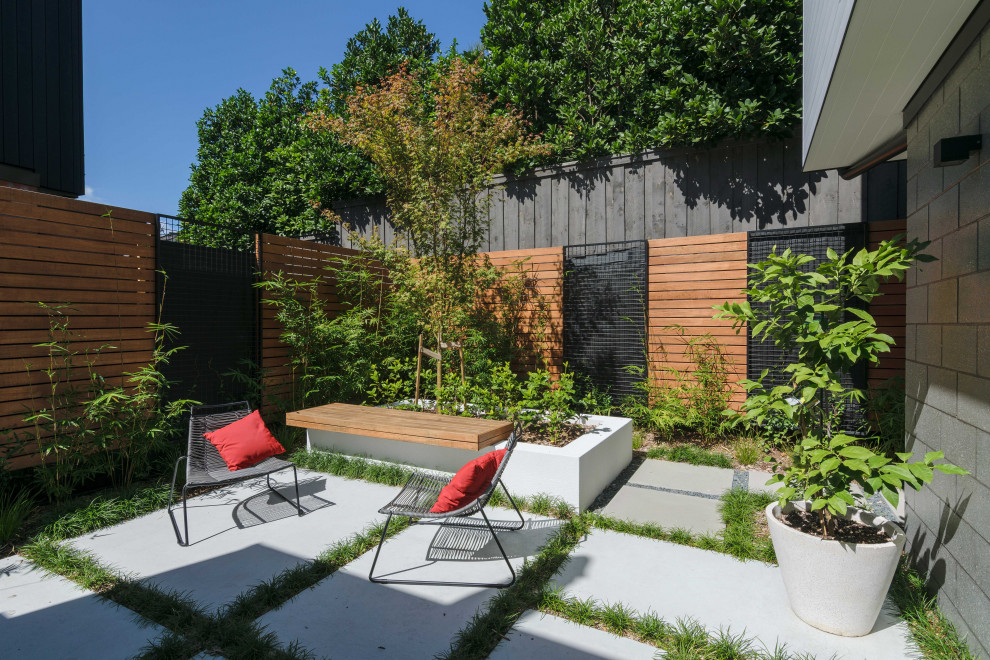 Inspiration pour une terrasse design avec une cour et des pavés en béton.