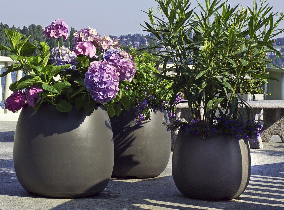 Esempio di un grande patio o portico tradizionale dietro casa con un giardino in vaso