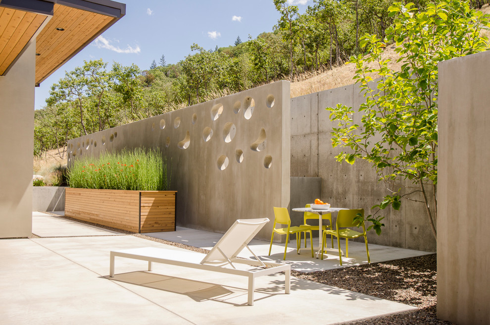 Inspiration pour une terrasse avec des plantes en pots design avec une cour, une dalle de béton et une extension de toiture.