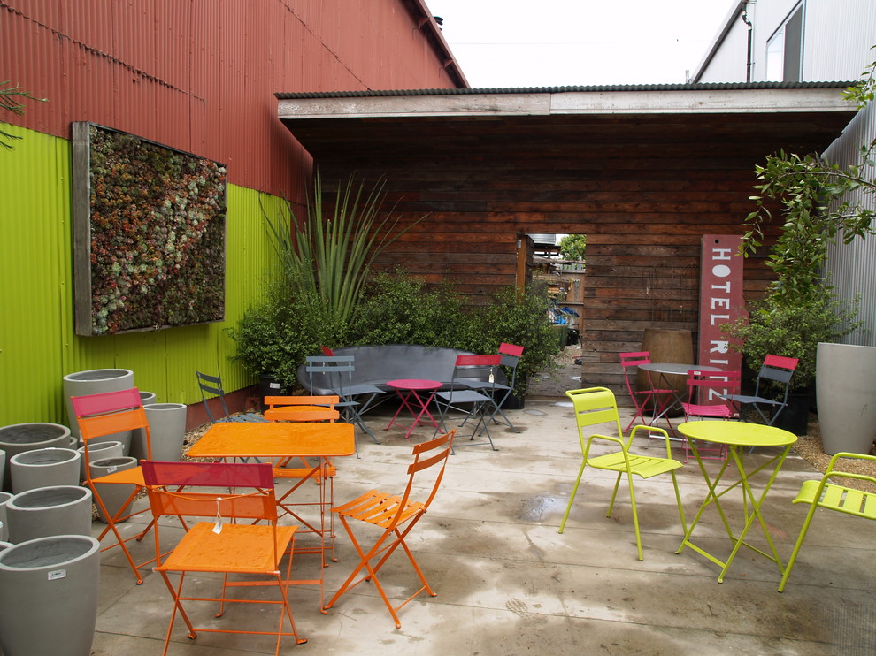 Unbedeckter Moderner Patio hinter dem Haus mit Pflanzwand und Betonplatten in San Francisco