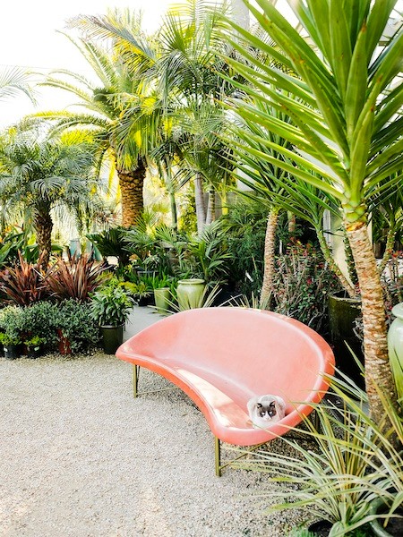 Foto di un patio o portico minimalista