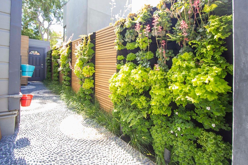 Idee per un grande giardino minimalista dietro casa