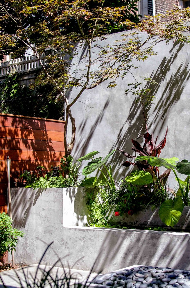 Mittelgroßer, Unbedeckter Moderner Patio hinter dem Haus mit Kübelpflanzen und Natursteinplatten in New York