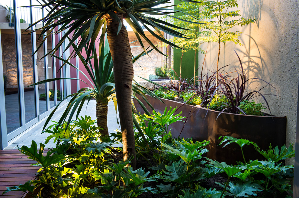 Kleiner Moderner Patio im Innenhof mit Kübelpflanzen in Perth