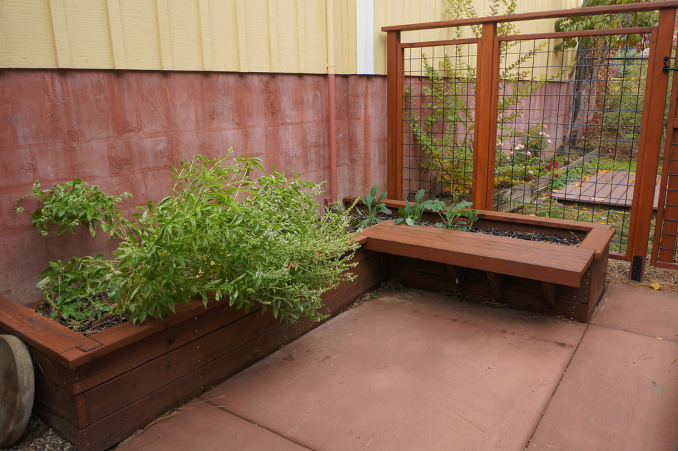 Diseño de patio tradicional pequeño sin cubierta en patio trasero con losas de hormigón