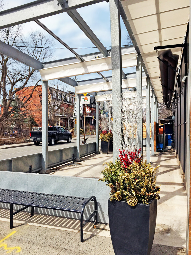 Mid-sized urban side yard concrete patio photo in Toronto with a pergola