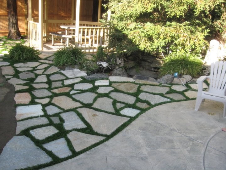 Design ideas for a small classic back patio in San Diego with natural stone paving and a pergola.