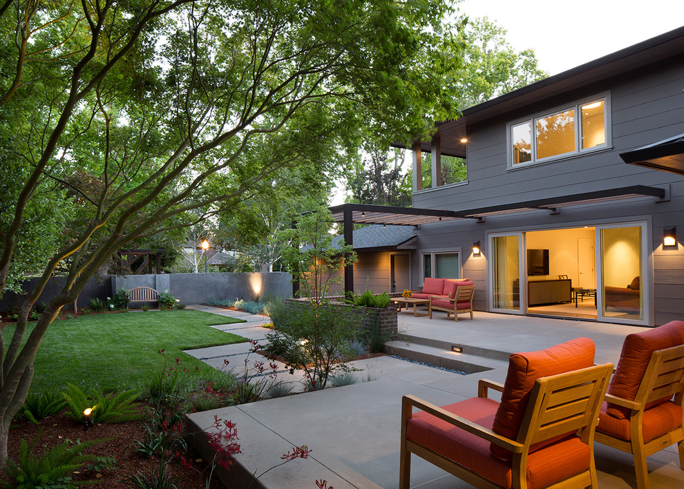 Immagine di un patio o portico minimal dietro casa con lastre di cemento, una pergola e scale
