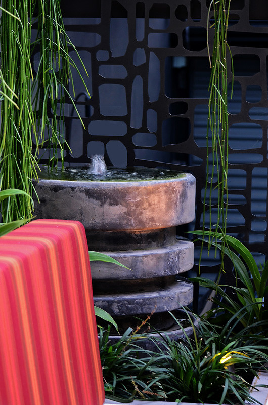 Kleiner, Unbedeckter Moderner Patio hinter dem Haus mit Kübelpflanzen in Sydney