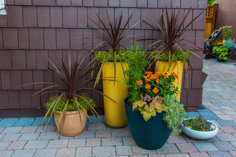 Esempio di un patio o portico minimalista con un giardino in vaso