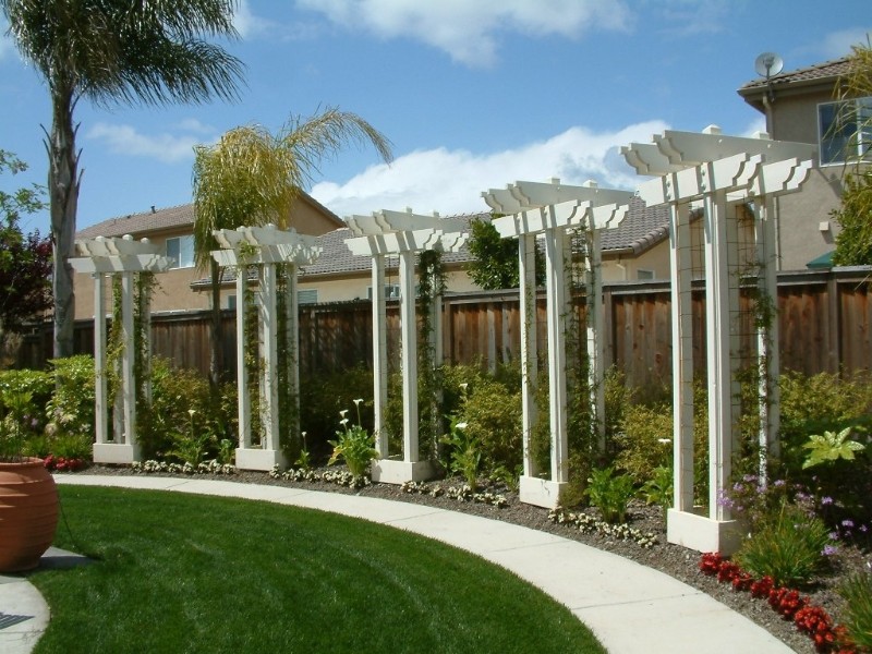 Photo of a traditional back patio in Sacramento with concrete slabs.