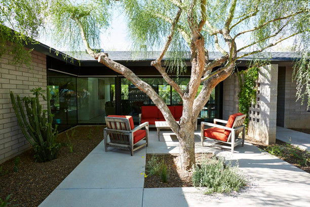 Esempio di un patio o portico minimalista in cortile con lastre di cemento e nessuna copertura