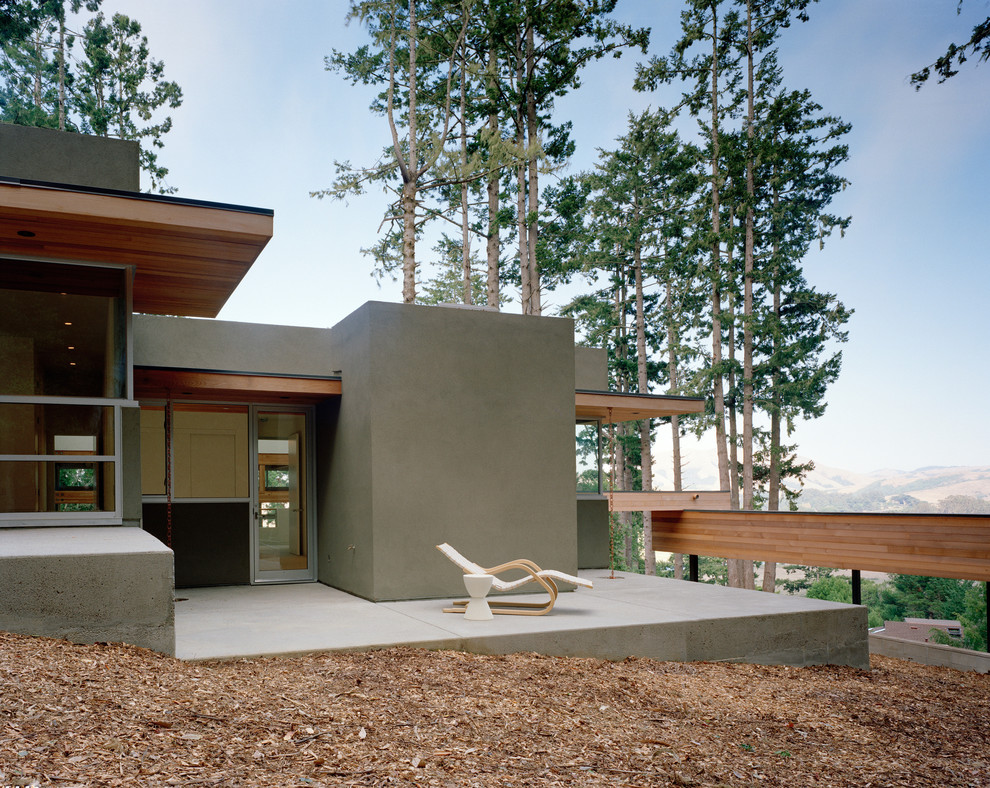 Esempio di un patio o portico minimalista di medie dimensioni e dietro casa con lastre di cemento e nessuna copertura