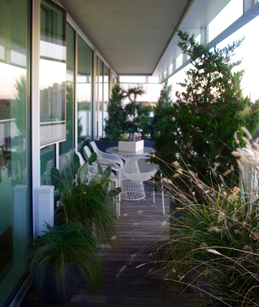 Modelo de patio minimalista pequeño en patio lateral y anexo de casas con jardín de macetas y entablado