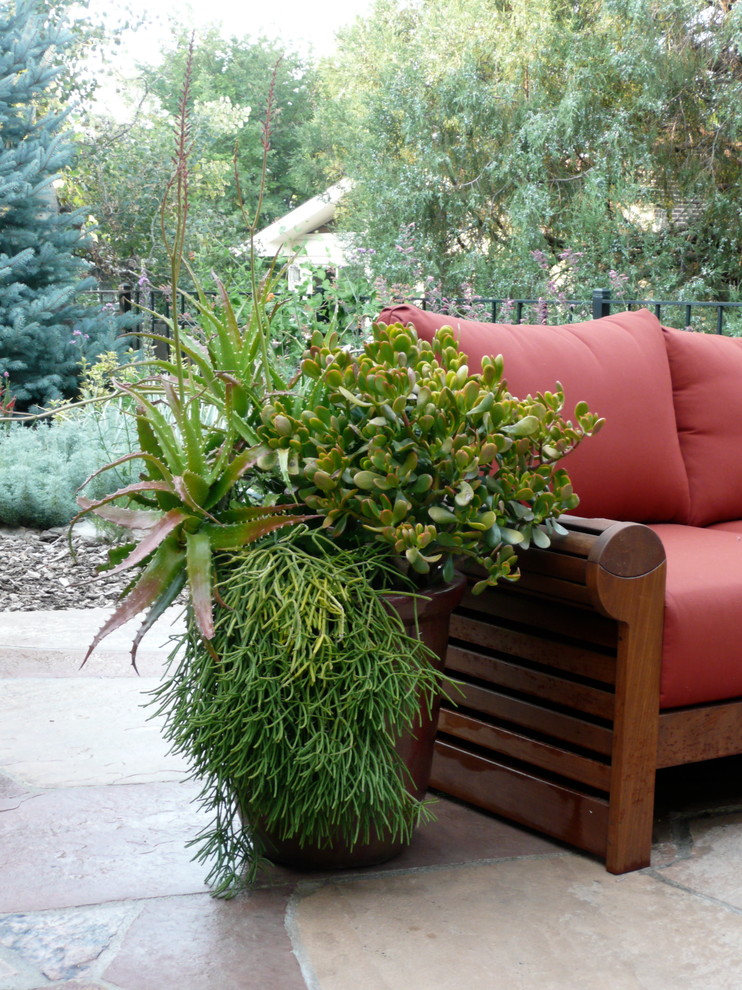 Design ideas for a world-inspired patio in Denver.