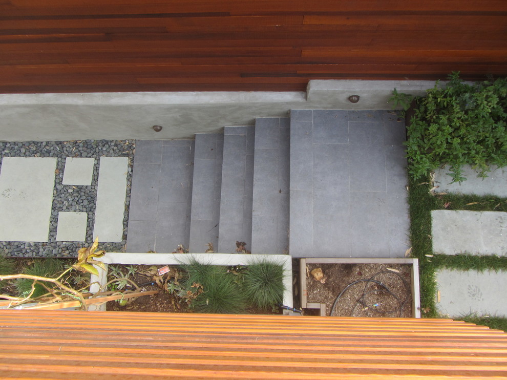 Mittelgroßer, Unbedeckter Moderner Patio hinter dem Haus mit Betonplatten in San Francisco