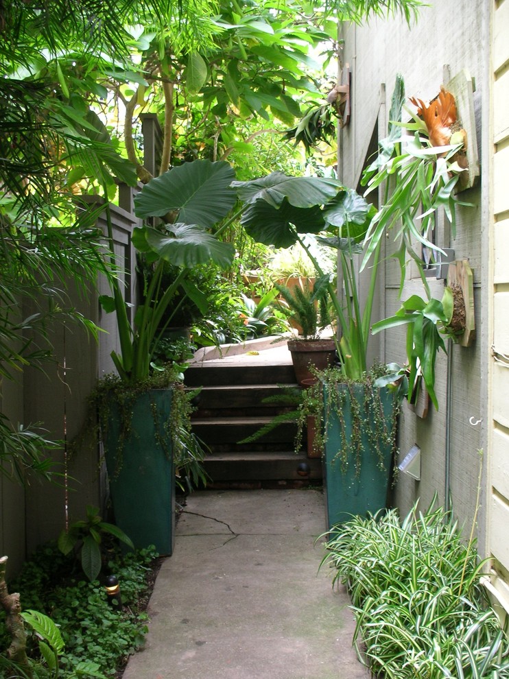 Ejemplo de patio tropical de tamaño medio sin cubierta en patio trasero con suelo de baldosas
