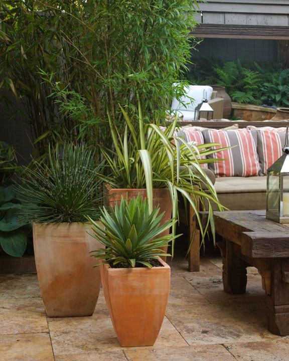 Immagine di un patio o portico tropicale di medie dimensioni e dietro casa con piastrelle e nessuna copertura