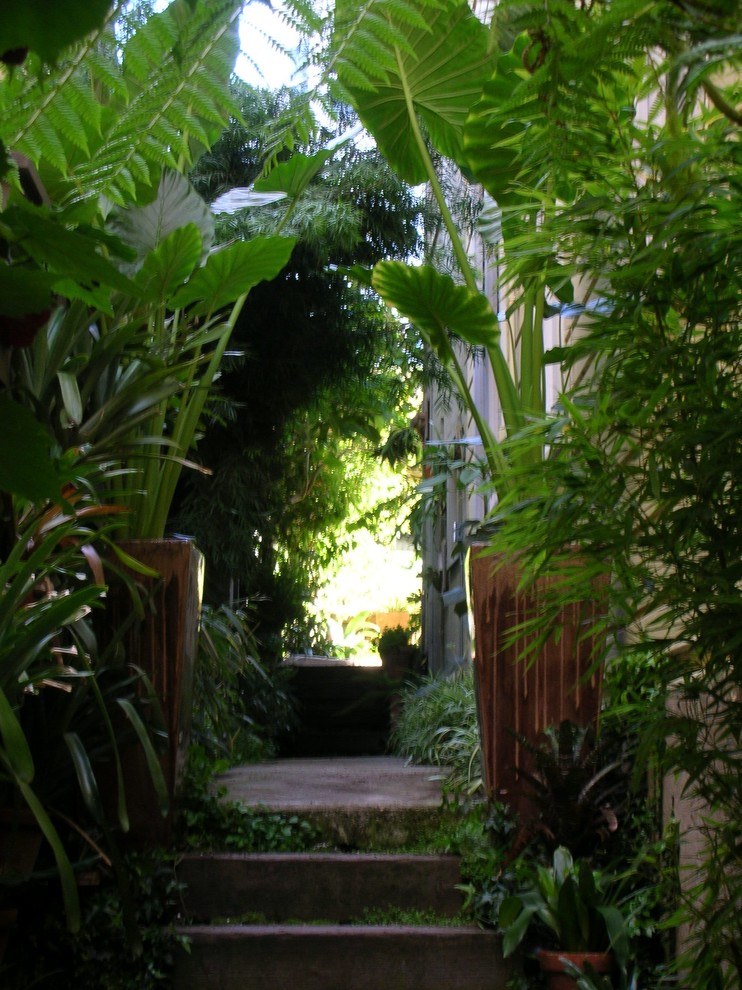 Ispirazione per un patio o portico tropicale
