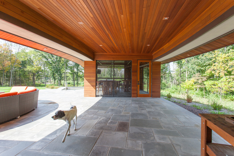 Idée de décoration pour une grande terrasse arrière design avec un foyer extérieur, des pavés en pierre naturelle et aucune couverture.